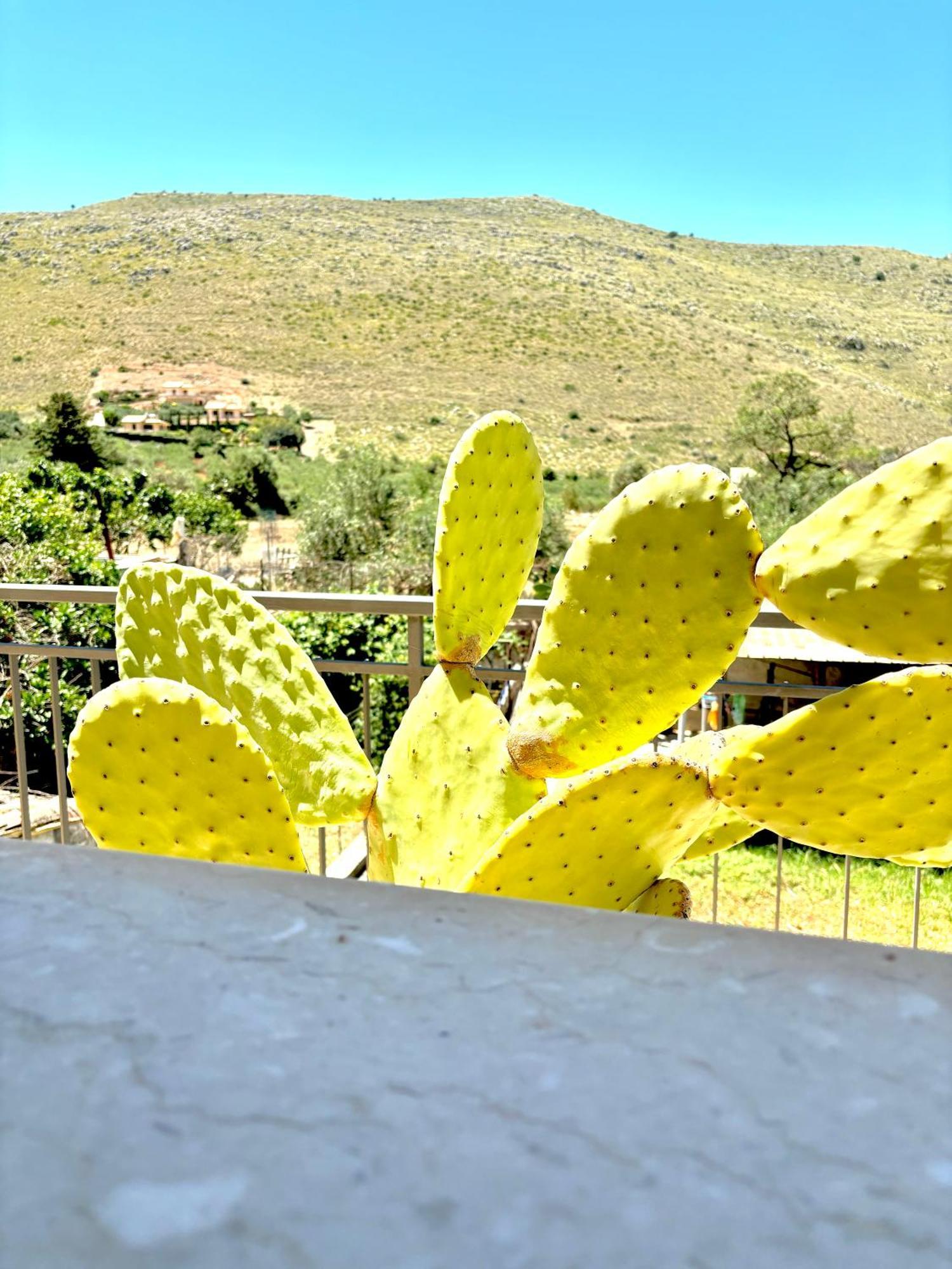Bed And Breakfast Turi Castelluzzo Ngoại thất bức ảnh